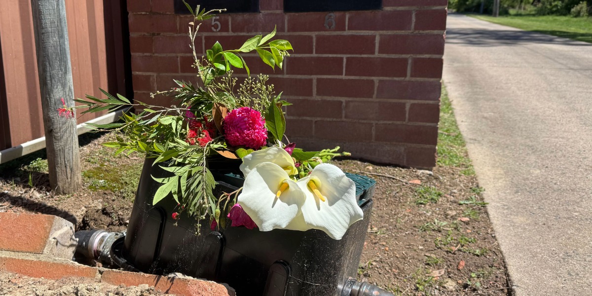 Flowers laid as man charged with murder of Armidale woman