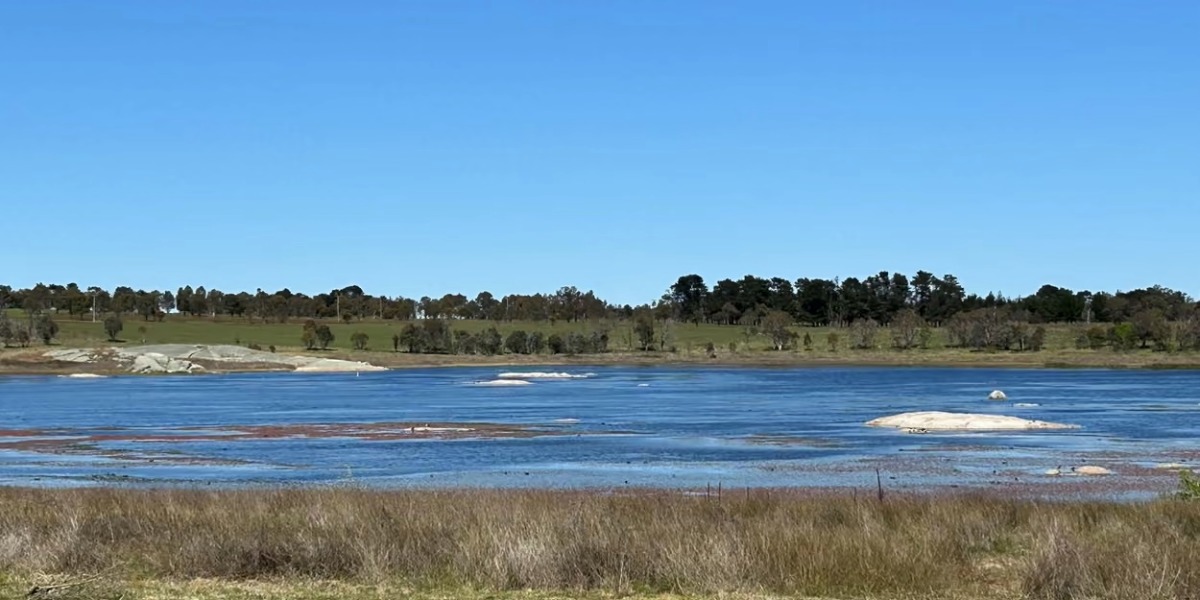 Free field day to explore Racecourse Lagoon