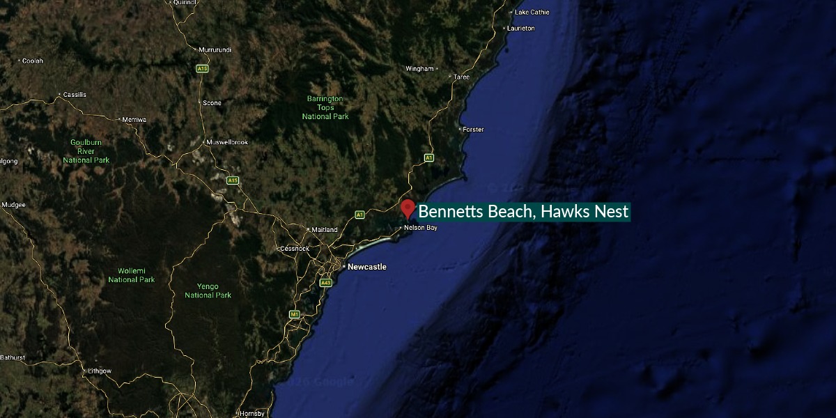 Mid North Coast locals praised for correctly reporting sick bird