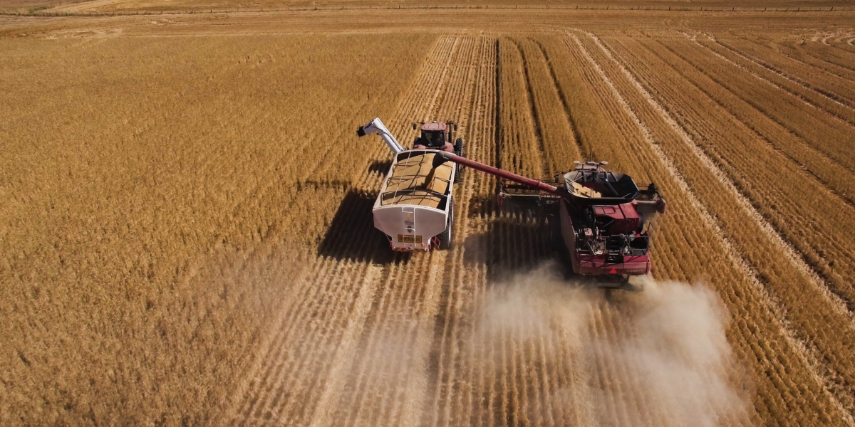 Grain groups combine for national advocacy strength