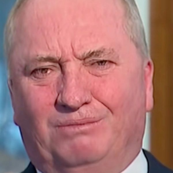 Joyce denies One Nation are ‘a pack of homophobes’