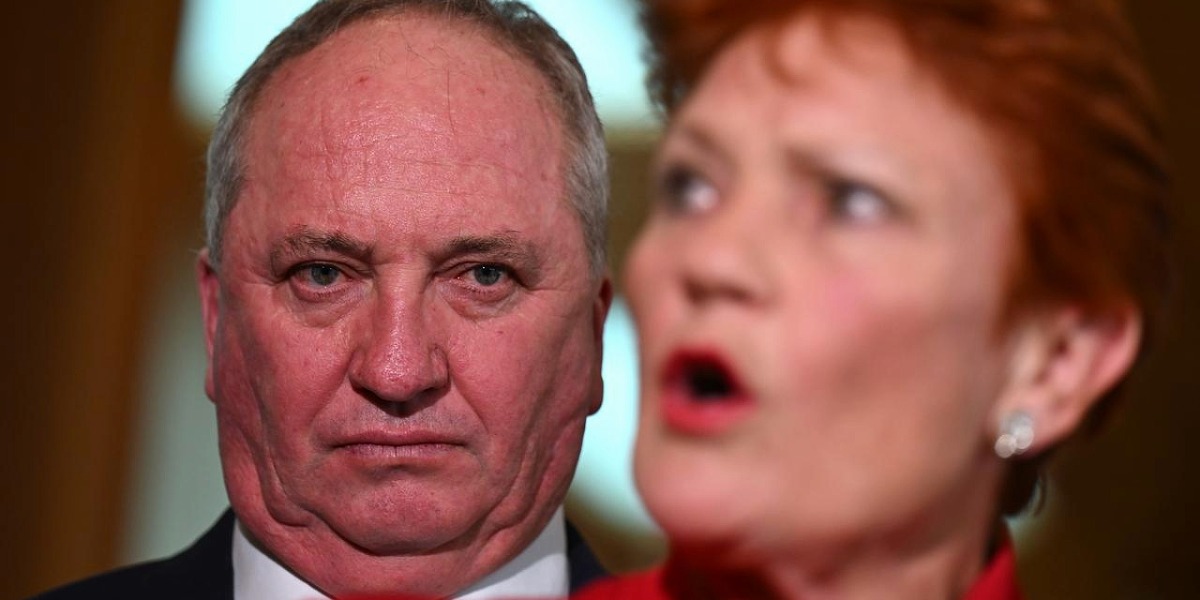 ‘No resources’: One Nation defends uncosted policies