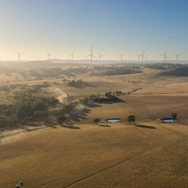 Squadron stops work on Boorolong wind farm as neighbouring Origin project pushes on