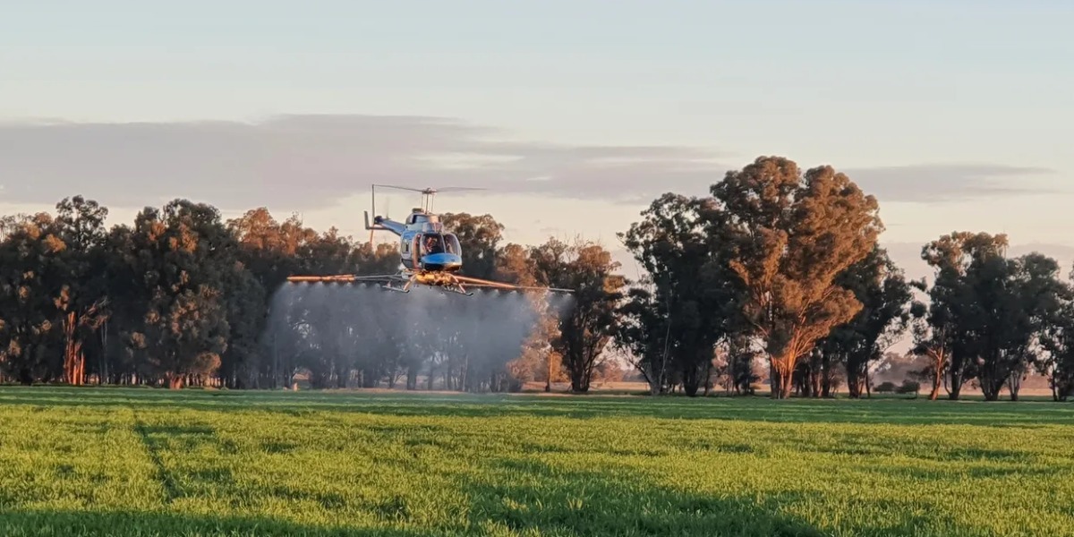 Aerial applicator fined for pesticide overspray at Bendemeer