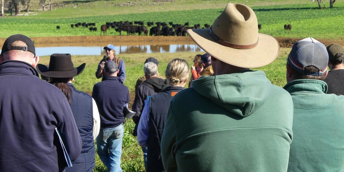 Aussie farmers and the new ballad of the virtual drover