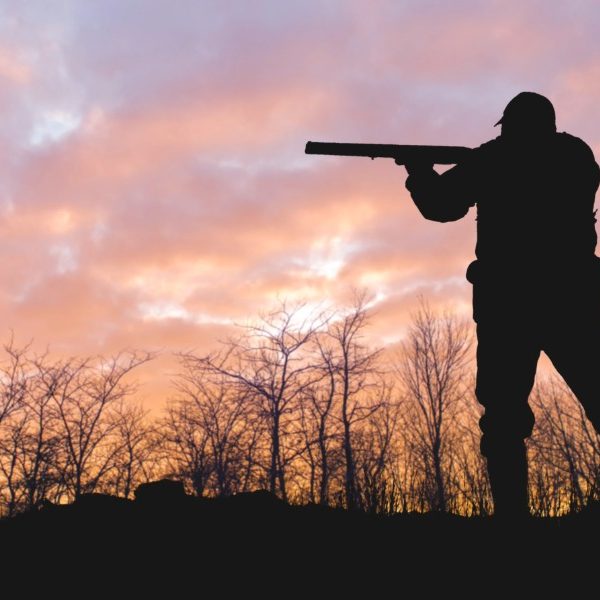 Farmers press health and welfare case for firearm suppressors