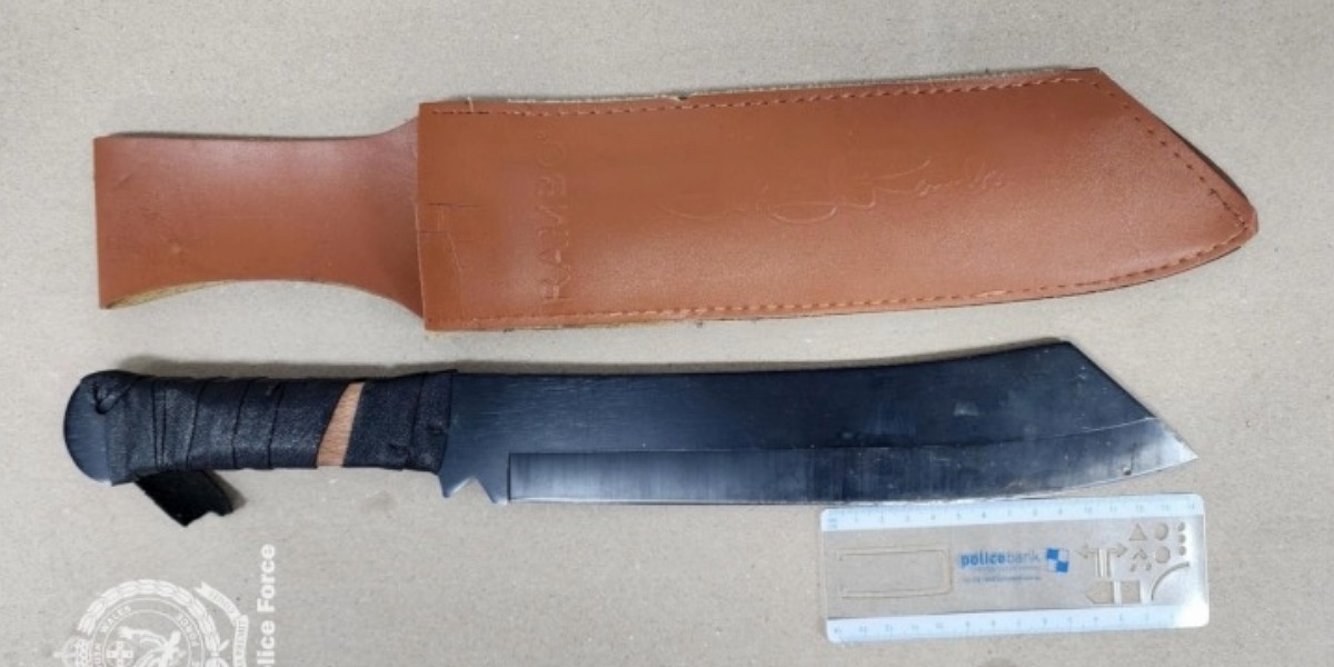 Two men charged in separate local machete incidents