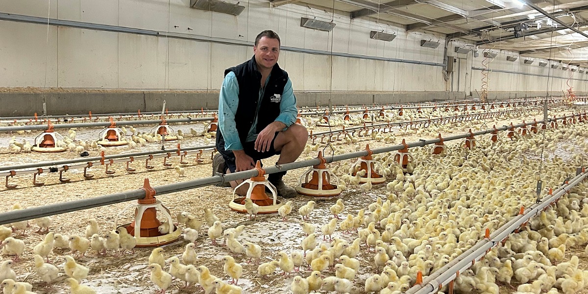 Somerton poultry farm awarded $500,000 grant for innovative water storage project