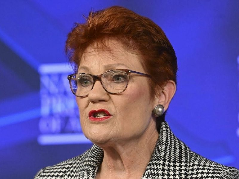 Hanson’s Press Club speech: the crib notes