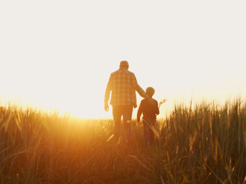 CGT shake-up brings relief, but succession remains the real test for farmers