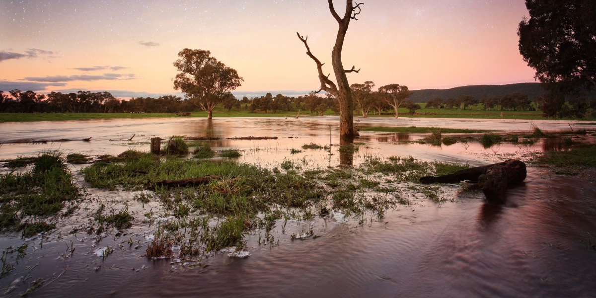 NSW floodplain harvesting audit begins