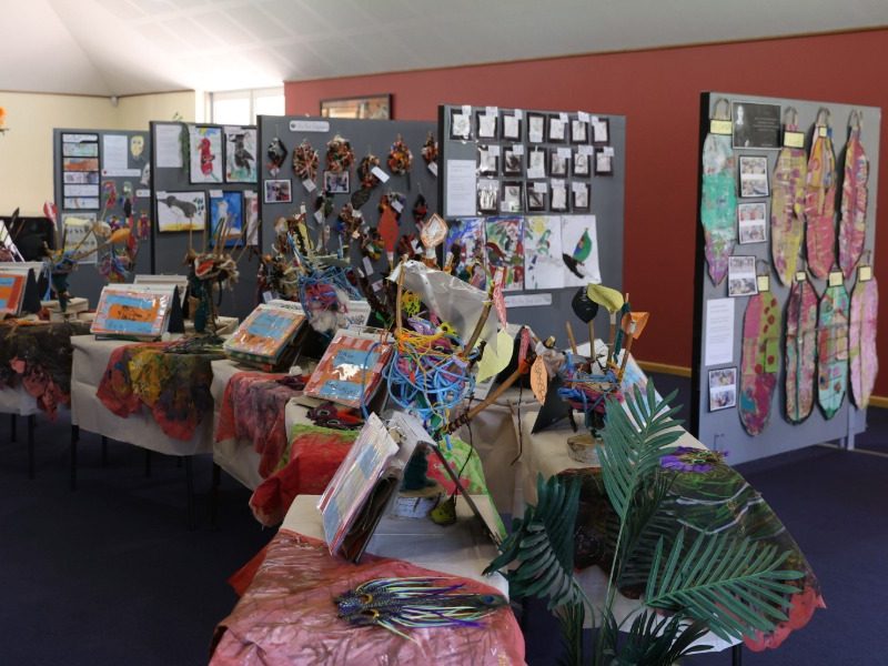 NEGS pupils take flight with bird project