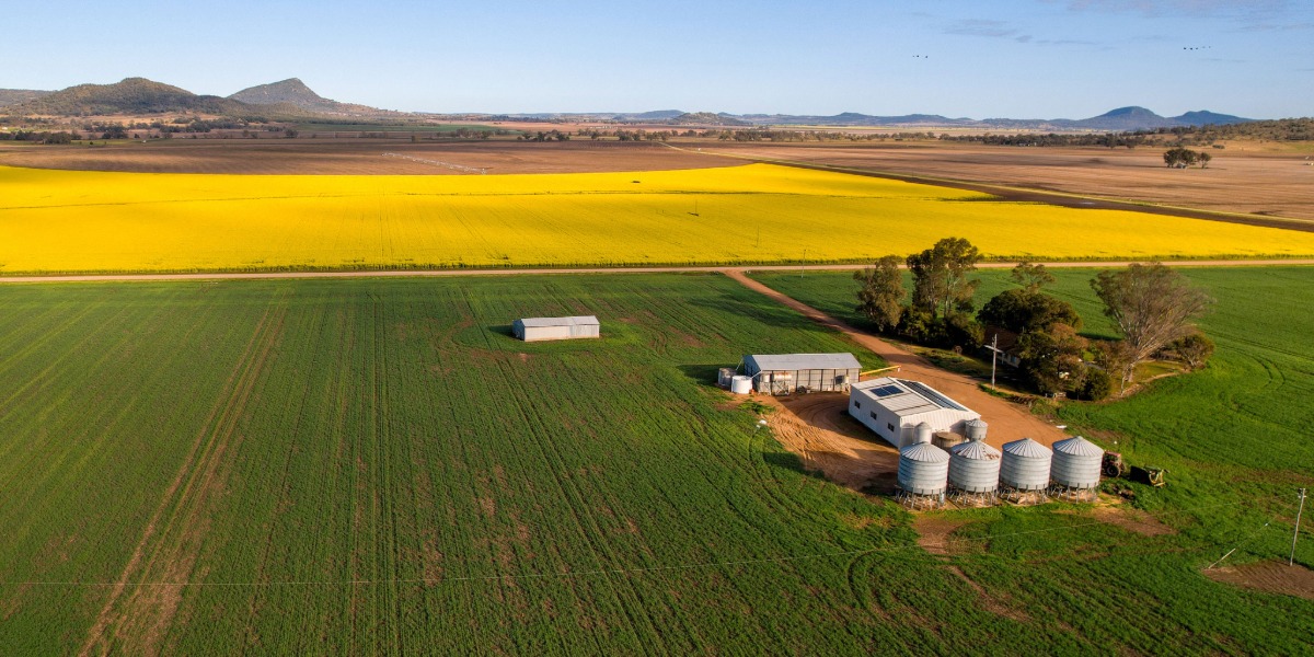 Farmers welcome confidence rebound, but new cost pressures loom
