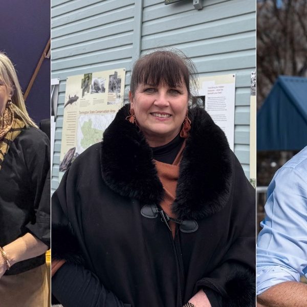 No challengers as three councils return mayors and deputies unopposed