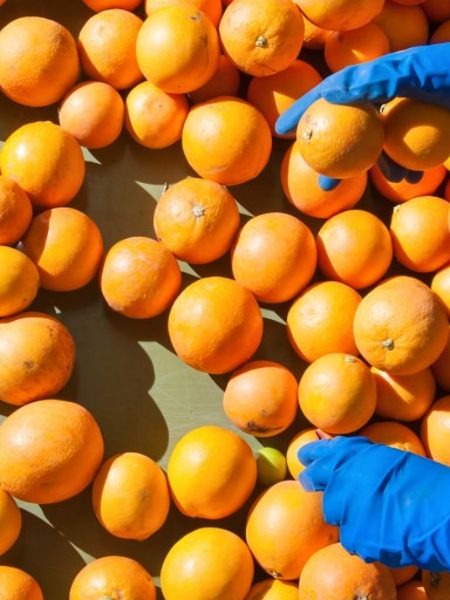 Sustainability the key to ag workforce puzzle