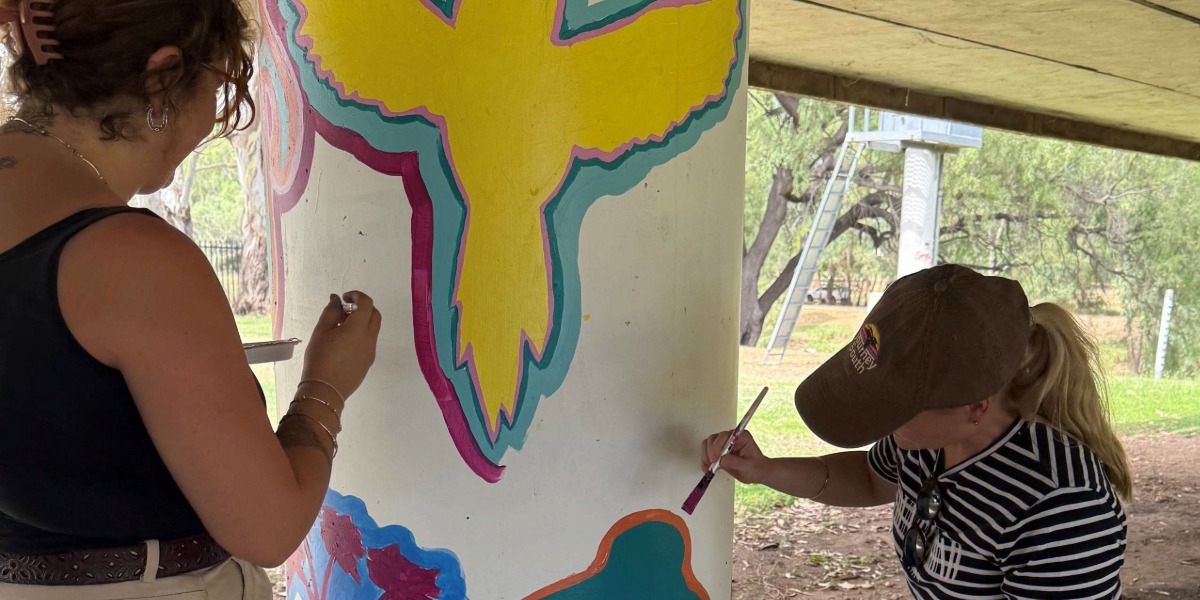 Narrabri Shire honoured for turning vandalism into art