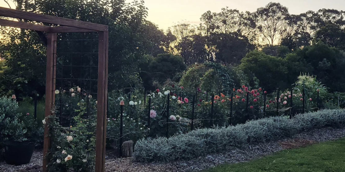 Autumn colours shine for New England Garden Festival Trail