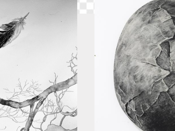 Shining a light on regional and rural artists