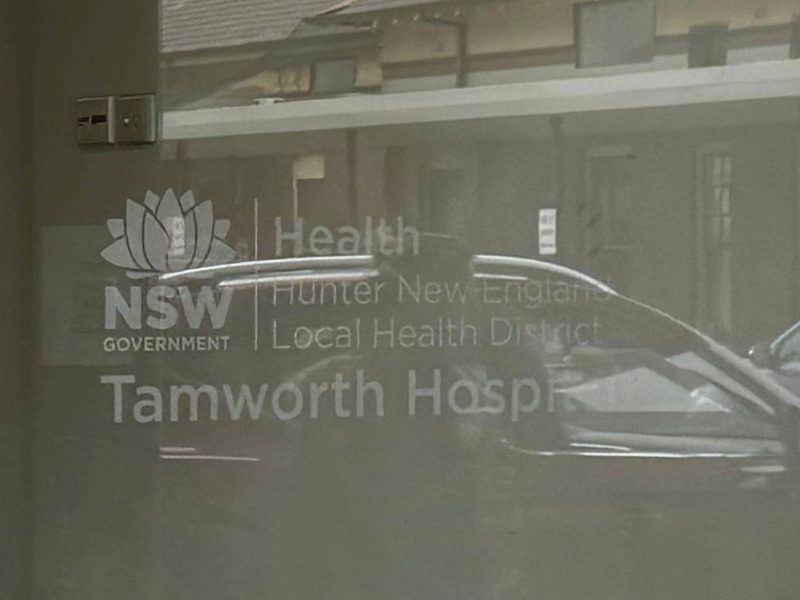 Birds, mould, and fungus found throughout hospitals