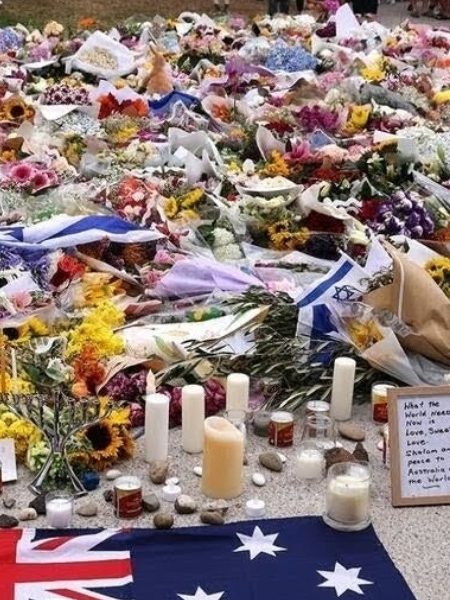 Chaffey, Joyce want gun laws and Islamic extremism in the Bondi Royal Commission