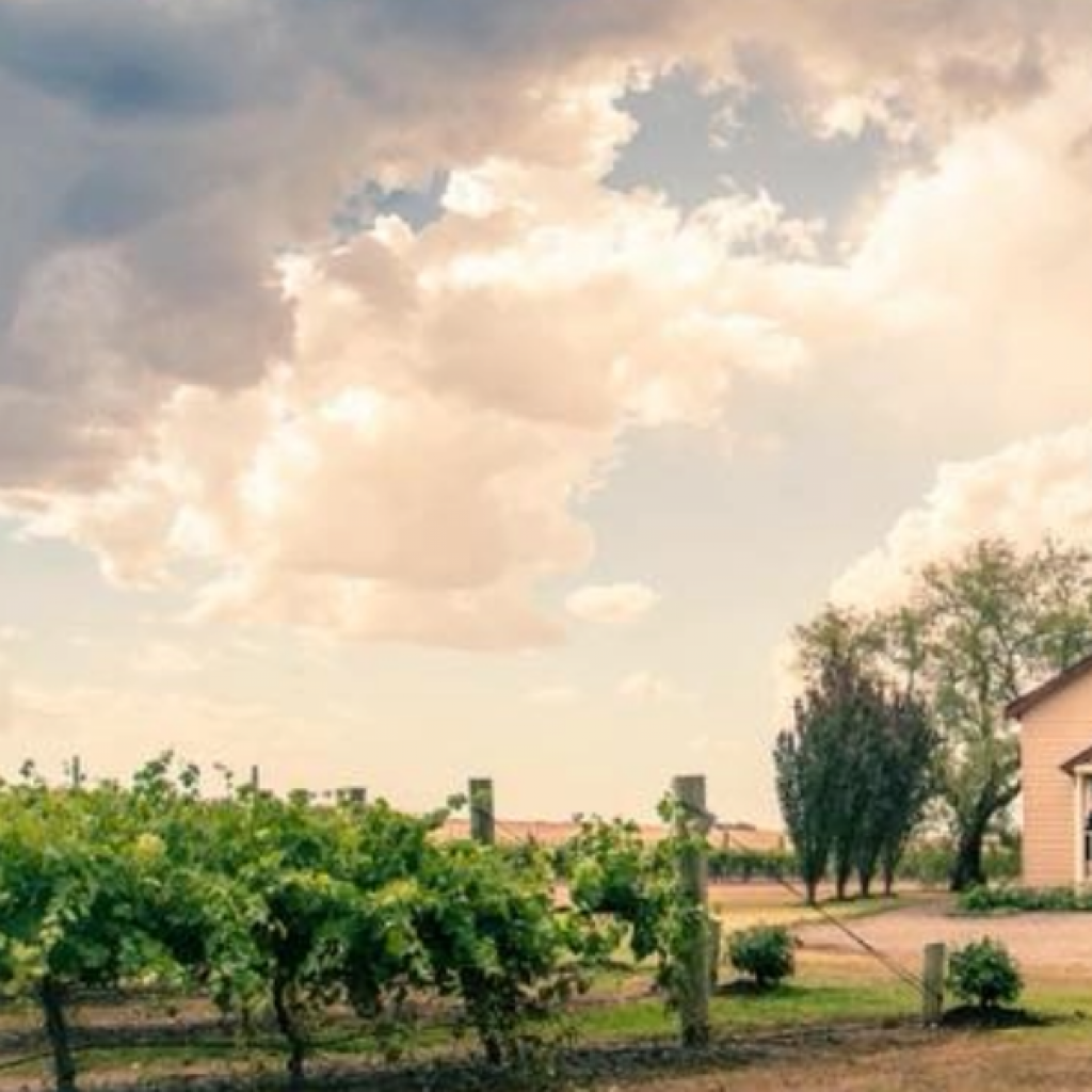 Tangaratta Vinyard on display for this year’s Wedding Expo | New ...