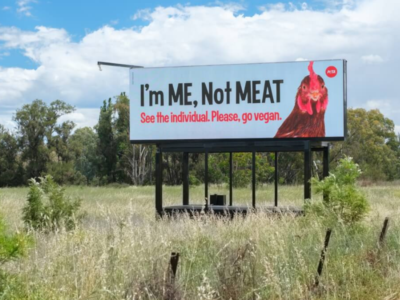 Billboard at Tamworth’s entrance targets Baiada’s new plant as Joyce joins debate