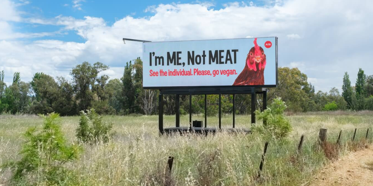 Billboard at Tamworth’s entrance targets Baiada’s new plant as Joyce joins debate