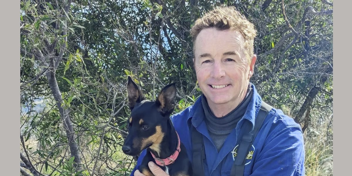 Tackling feral animals: workshop offers solutions for landholders
