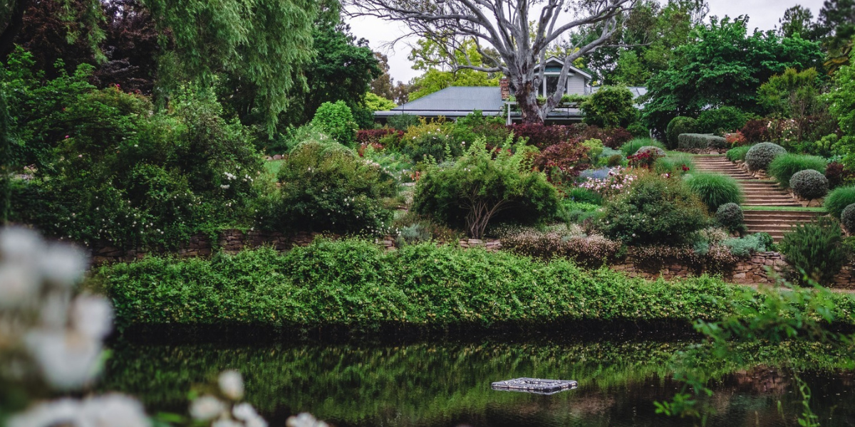 Gardens bloom again as Glenrock reopens with festival fashion parade
