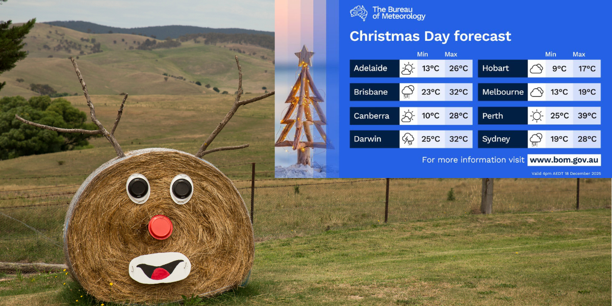 Sunny skies forecast for Christmas Day