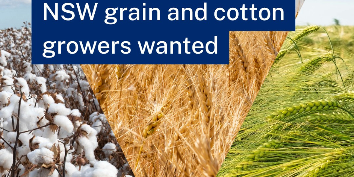 Local growers asked to join NSW Action Research Network