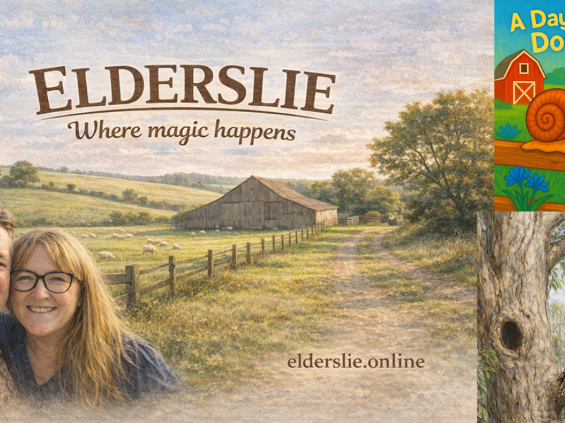 From the paddock to the page: A local author’s journey