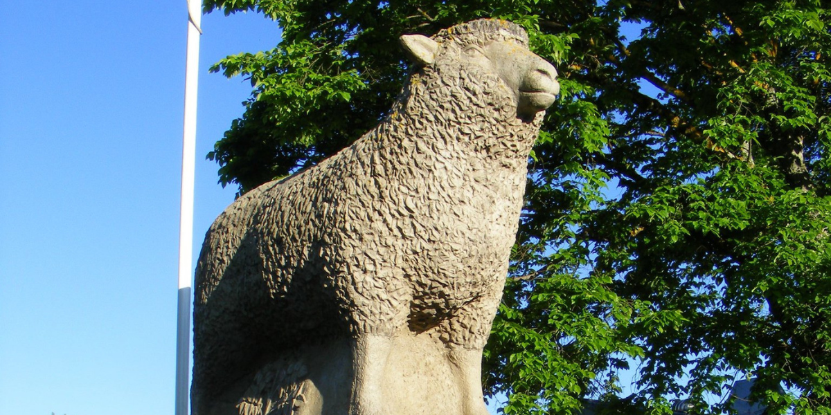 Guyra Lamb & Potato Festival celebrates 40 years