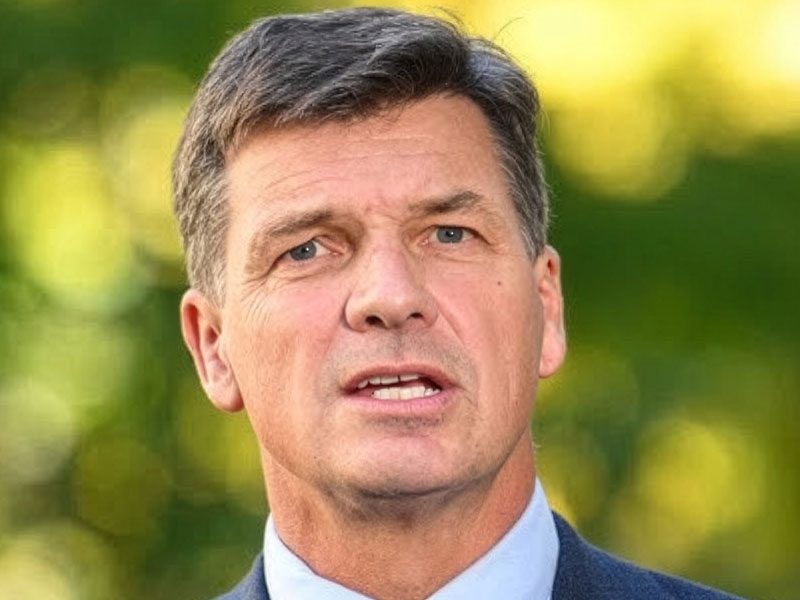 Angus Taylor new leader of the Liberal Party