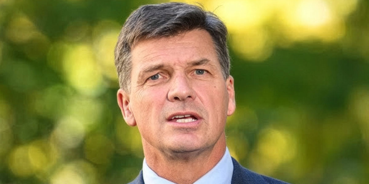 Angus Taylor new leader of the Liberal Party