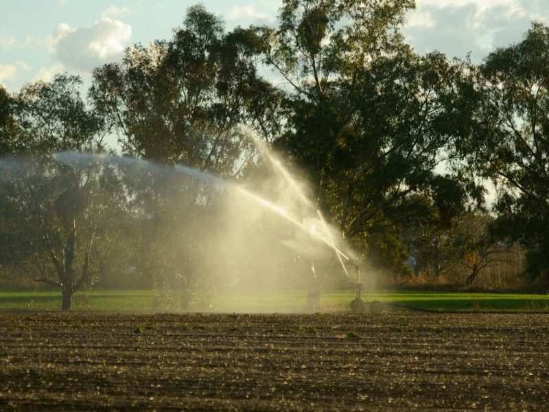 NSW Farmers call for urgent update to water laws